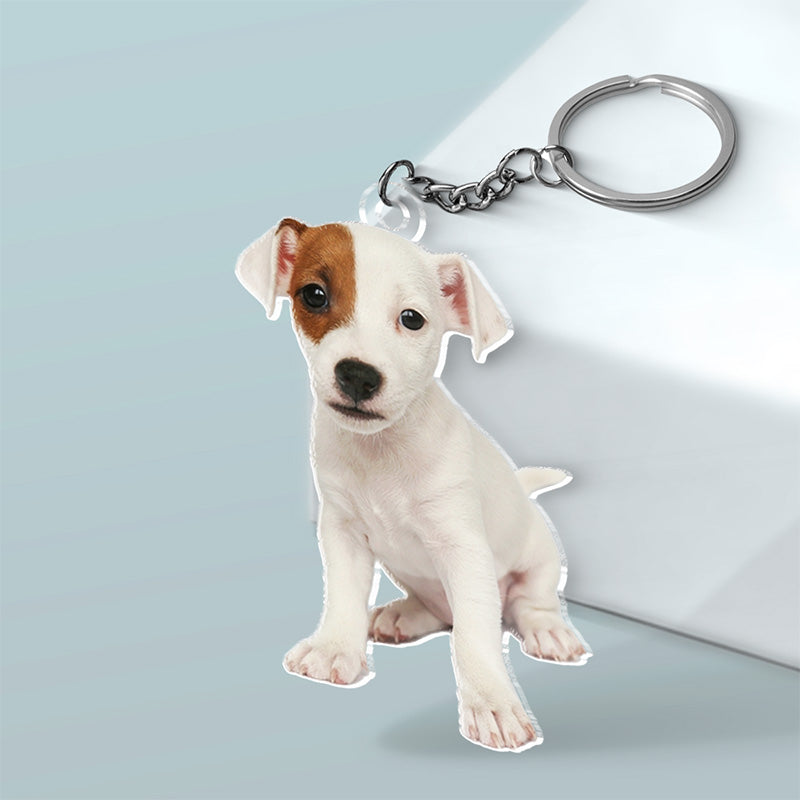 Custom Photo My Furry Friend Is My Holiday Cheer - Dog & Cat Personalized Custom Shaped Acrylic Keychain - Gift For Pet Owners, Pet Lovers