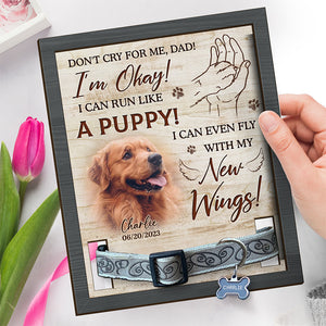 Custom Photo Don't Cry For Me I'll Be Okay - Memorial Personalized Custom Pet Loss Sign, Collar Frame With Stand - Sympathy Gift, Gift For Pet Owners, Pet Lovers
