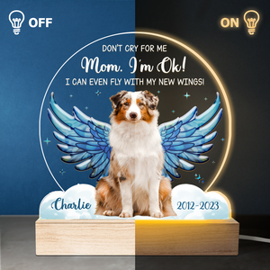 Custom Photo I Can Even Fly With My New Wings - Memorial Personalized Custom Shaped 3D LED Light - Sympathy Gift For Pet Owners, Pet Lovers