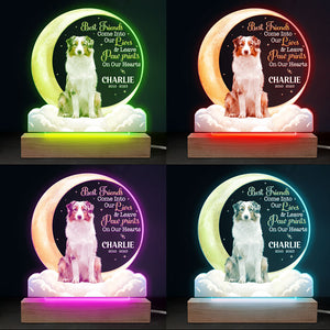 Custom Photo You Leave Paw Prints On Our Hearts - Memorial Personalized Custom Shaped 3D LED Light - Sympathy Gift For Pet Owners, Pet Lovers