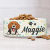Colorful Dot, Gift For Dog Lovers - Personalized Custom Ceramic Dog Bowls