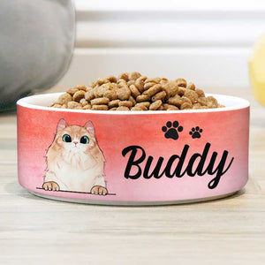 Pink Coral, Gift For Cat Lovers - Personalized Custom Cat Bowls.