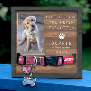Best Friends Are Never Forgotten - Memorial Personalized Custom Pet Loss Sign, Collar Frame - Upload Image, Sympathy Gift, Gift For Pet Owners, Pet Lovers