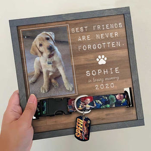 Best Friends Are Never Forgotten - Memorial Personalized Custom Pet Loss Sign, Collar Frame - Upload Image, Sympathy Gift, Gift For Pet Owners, Pet Lovers