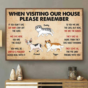 When Visiting My House Cat Walking - Personalized Horizontal Poster.