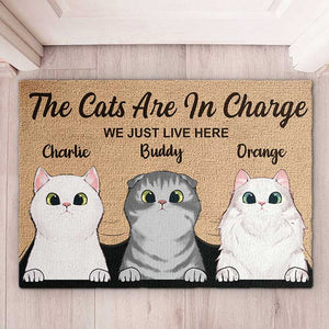 The Cats Are In Charge - Personalized Decorative Mat.