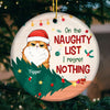 Dear Santa Naughty Nice We Tried - Dog & Cat Personalized Custom Ornament - Ceramic Round Shaped - Upload Image, Christmas Gift For Pet Owners, Pet Lovers