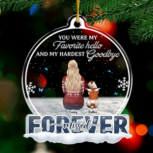 You Were My Favorite Hello And My Hardest Goodbye - Memorial Personalized Custom Ornament - Acrylic Snow Globe Shaped - Sympathy Gift, Christmas Gift For Pet Owners, Pet Lovers