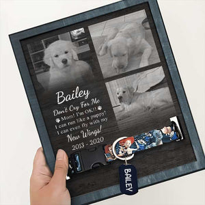 Thanks For All Those Walks - Upload Image, Personalized Memorial Pet Loss Sign (11x9 inches).