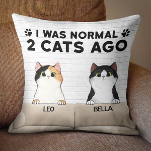 I Was Normal With My Cats - Funny Personalized Cat Pillow (Insert Included).