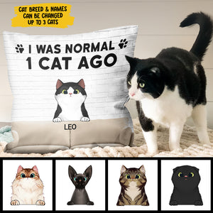 I Was Normal With My Cats - Funny Personalized Cat Pillow (Insert Included).